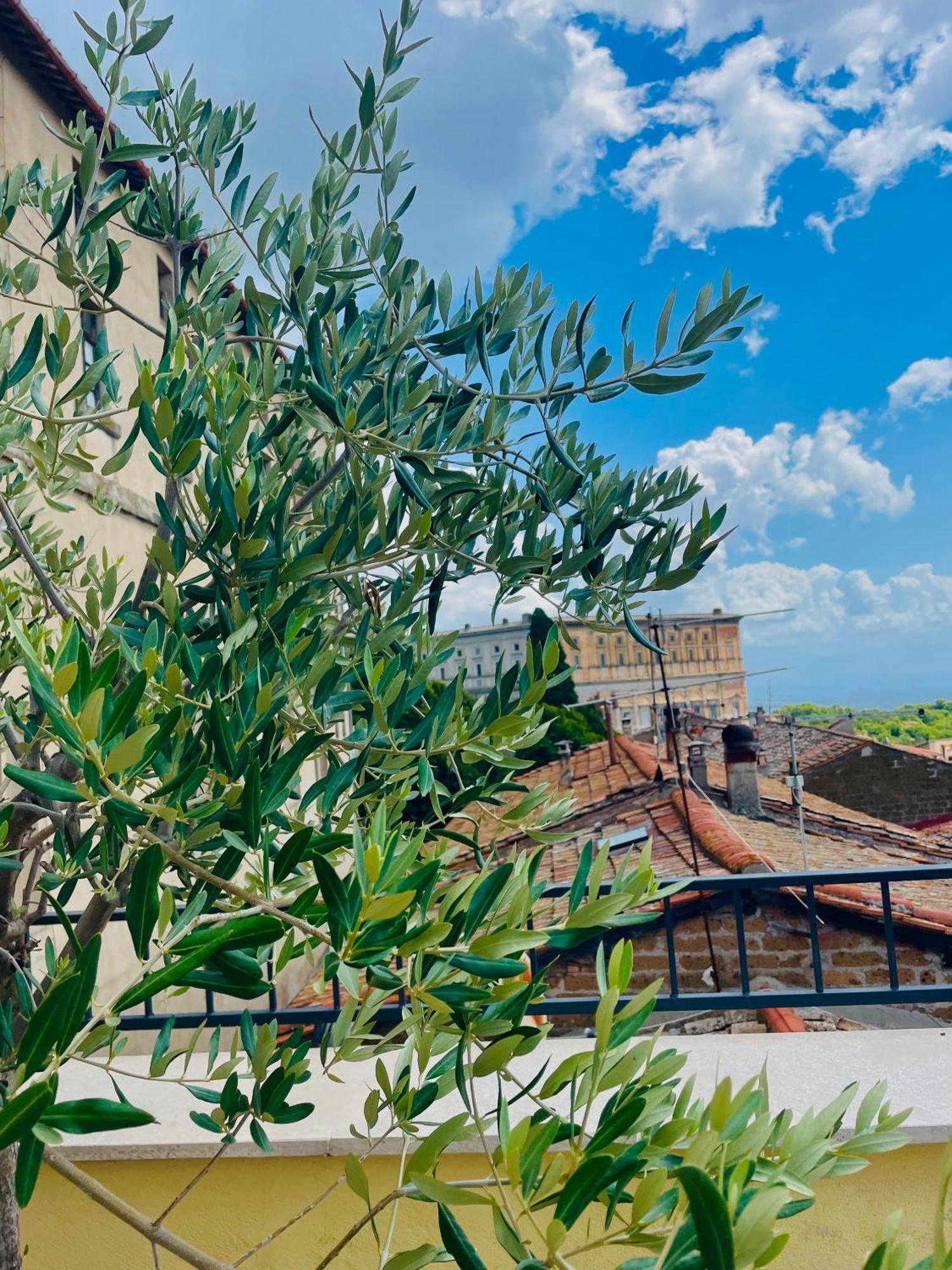 Casa Checca Per Vacanze Holiday home