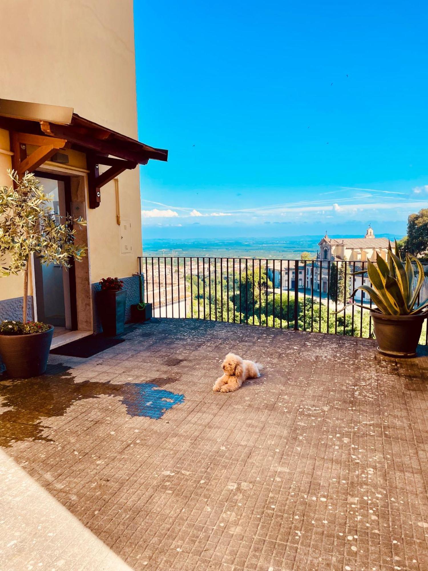 Holiday home Casa Checca Per Vacanze *